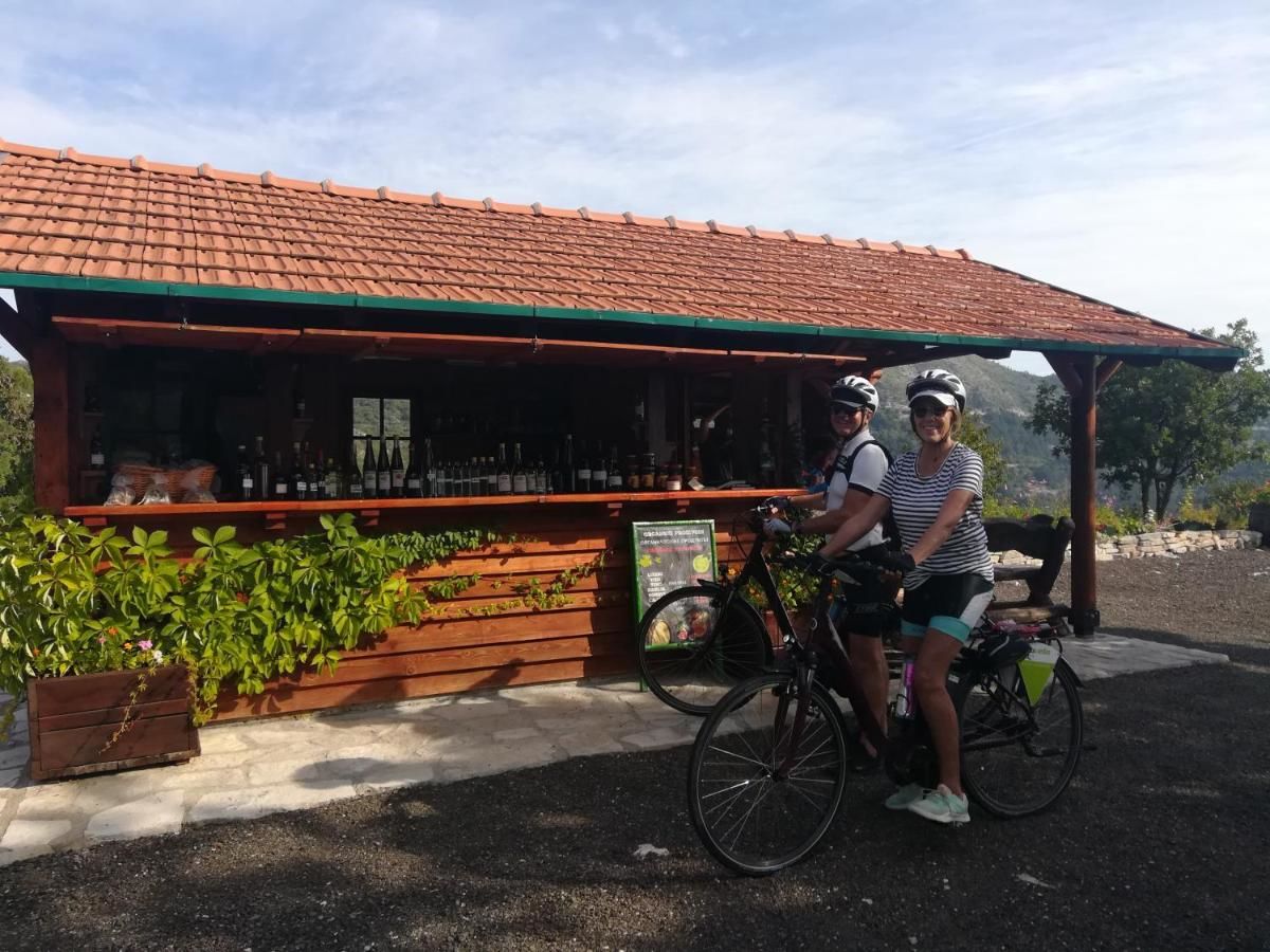 Кемпинги Camp Oaza,Lipa Цетине-43